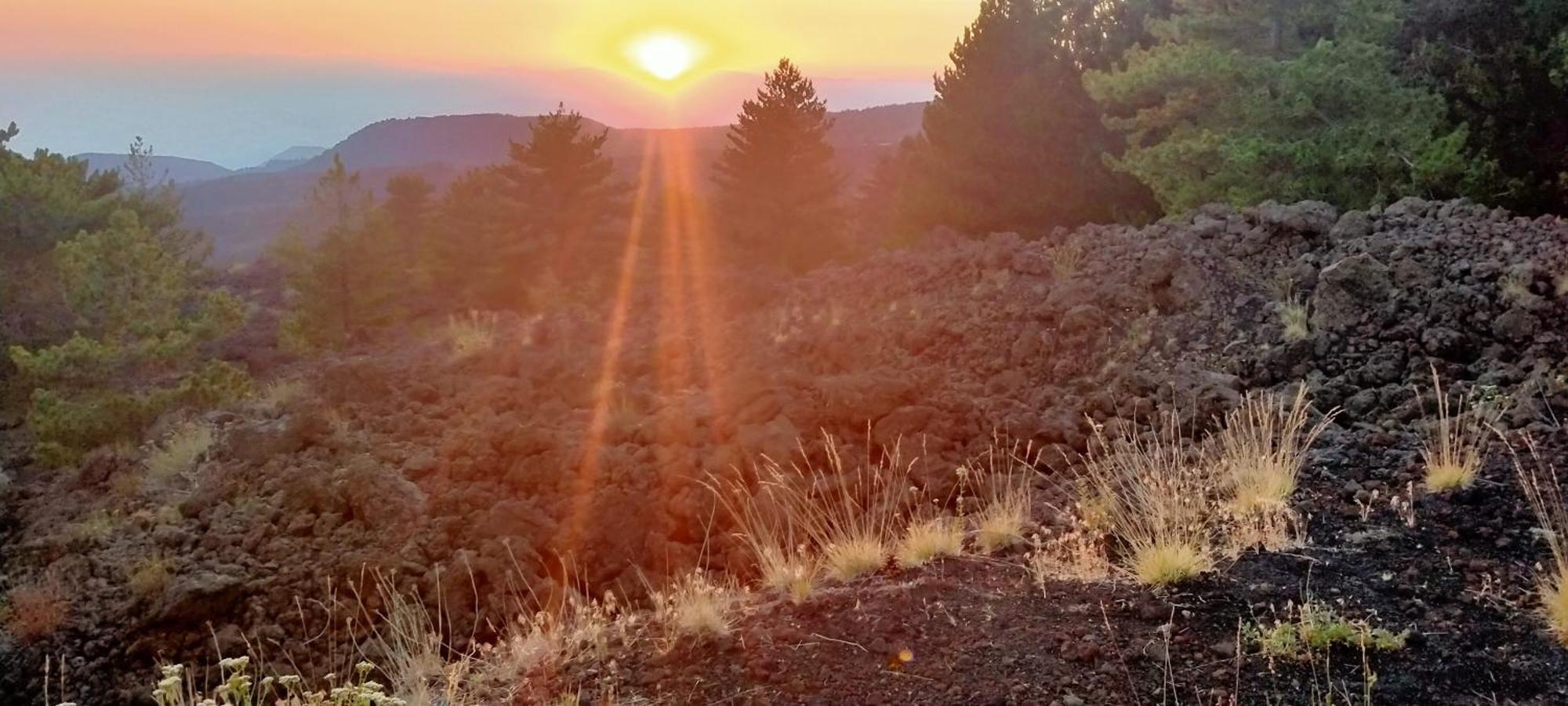 Appartamento Casa Montegrappa - Tra Etna E Mare Parcheggio Gratuito Zafferana Etnea
