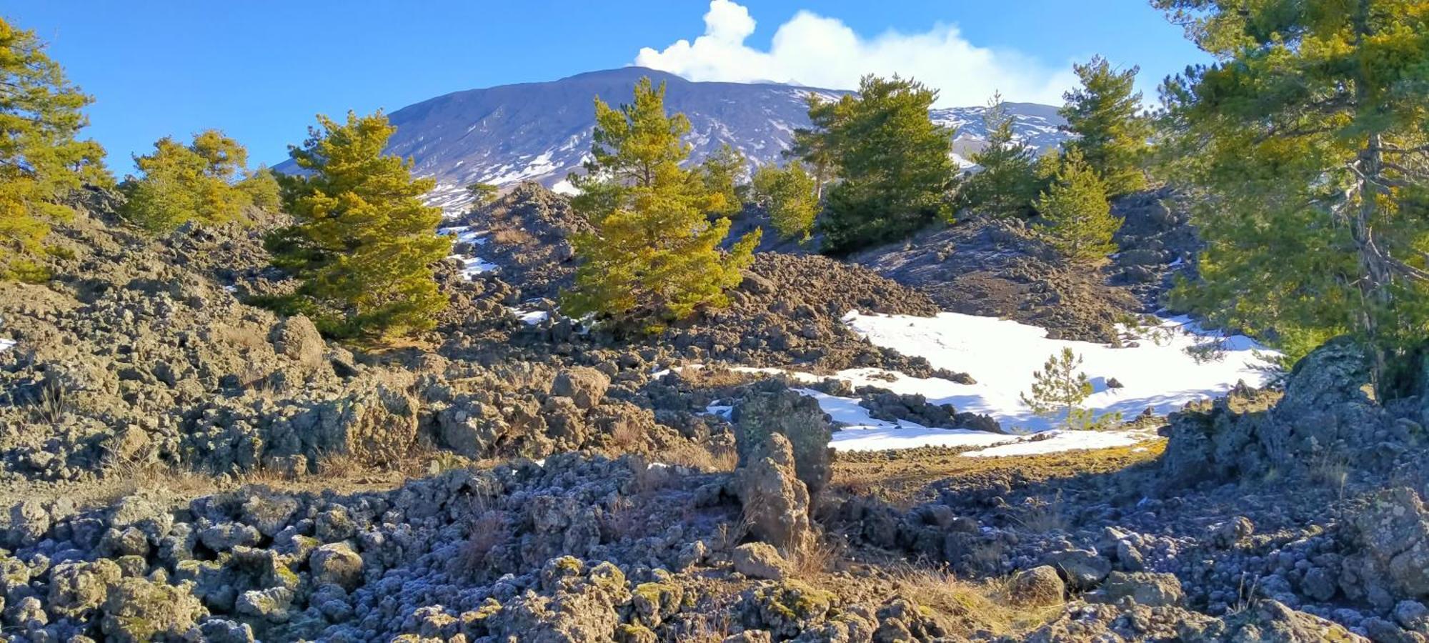 Apartment Casa Montegrappa - Tra Etna E Mare Parcheggio Gratuito *